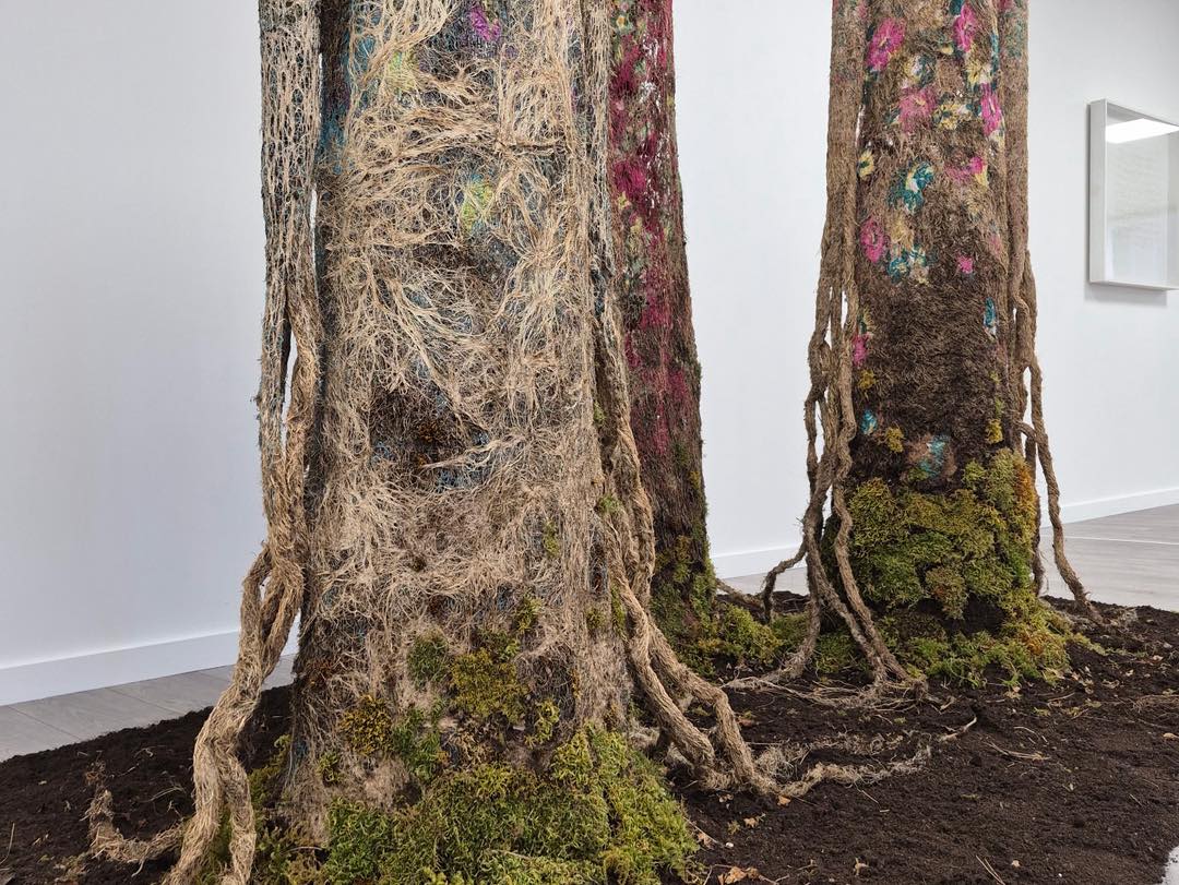 641428022_1529407879112607_4368903752963978079_n