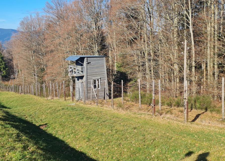 651215526_1546498294070232_1673651957564562548_n