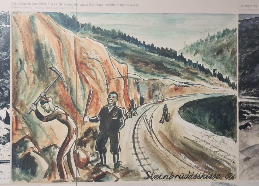 651843227_1546498297403565_1129166780848533035_n