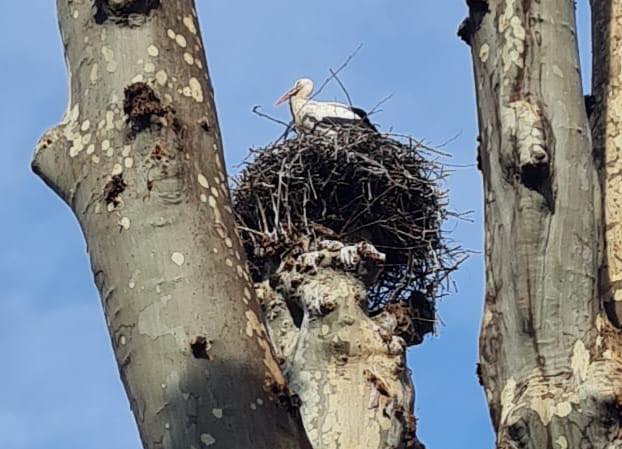 652734642_1546498274070234_3397493642707049442_n