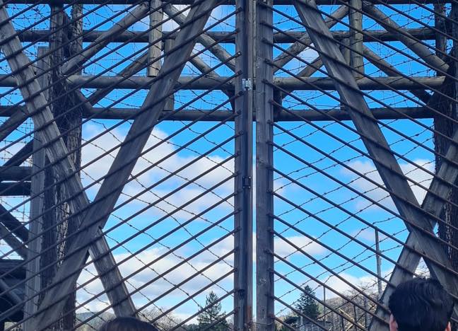 654866176_1546498277403567_256813500695079896_n